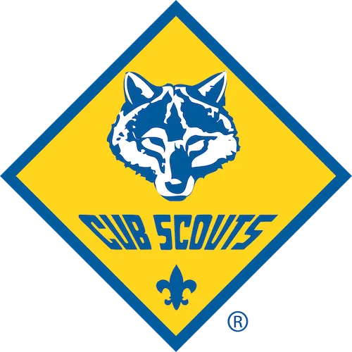 Community Sports Programs / Future Scouts